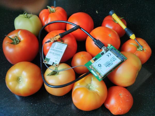 Dan's images with lots of modems are boring, so here's one with my tomatoes.